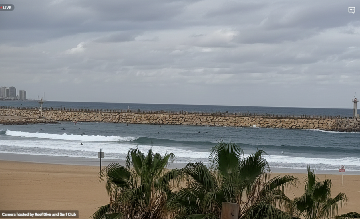 מצלמת מרינה הרצליה שידור חי